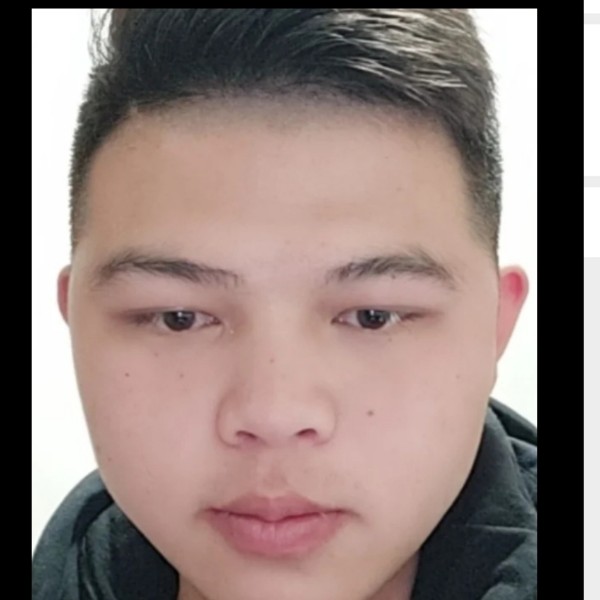 长颈鹿冷艳的照片