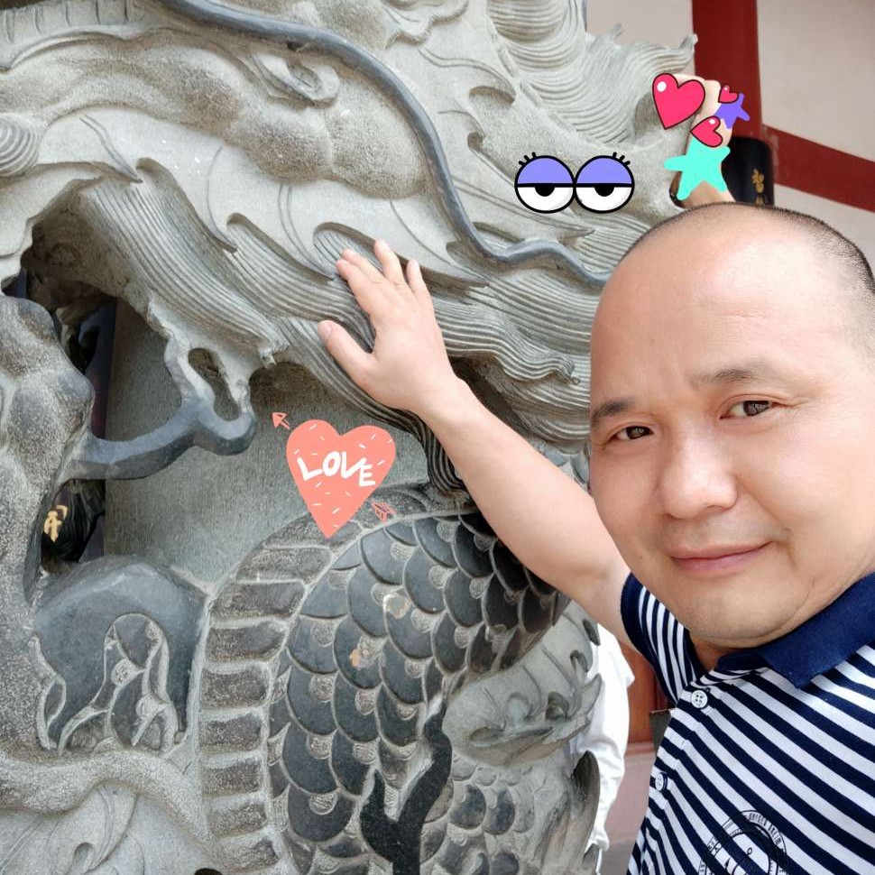 标致停止长颈鹿的照片