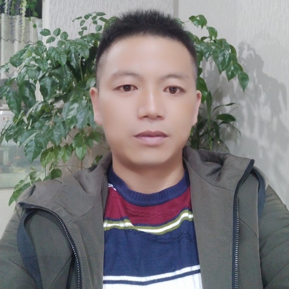 硬币放弃淡然的照片