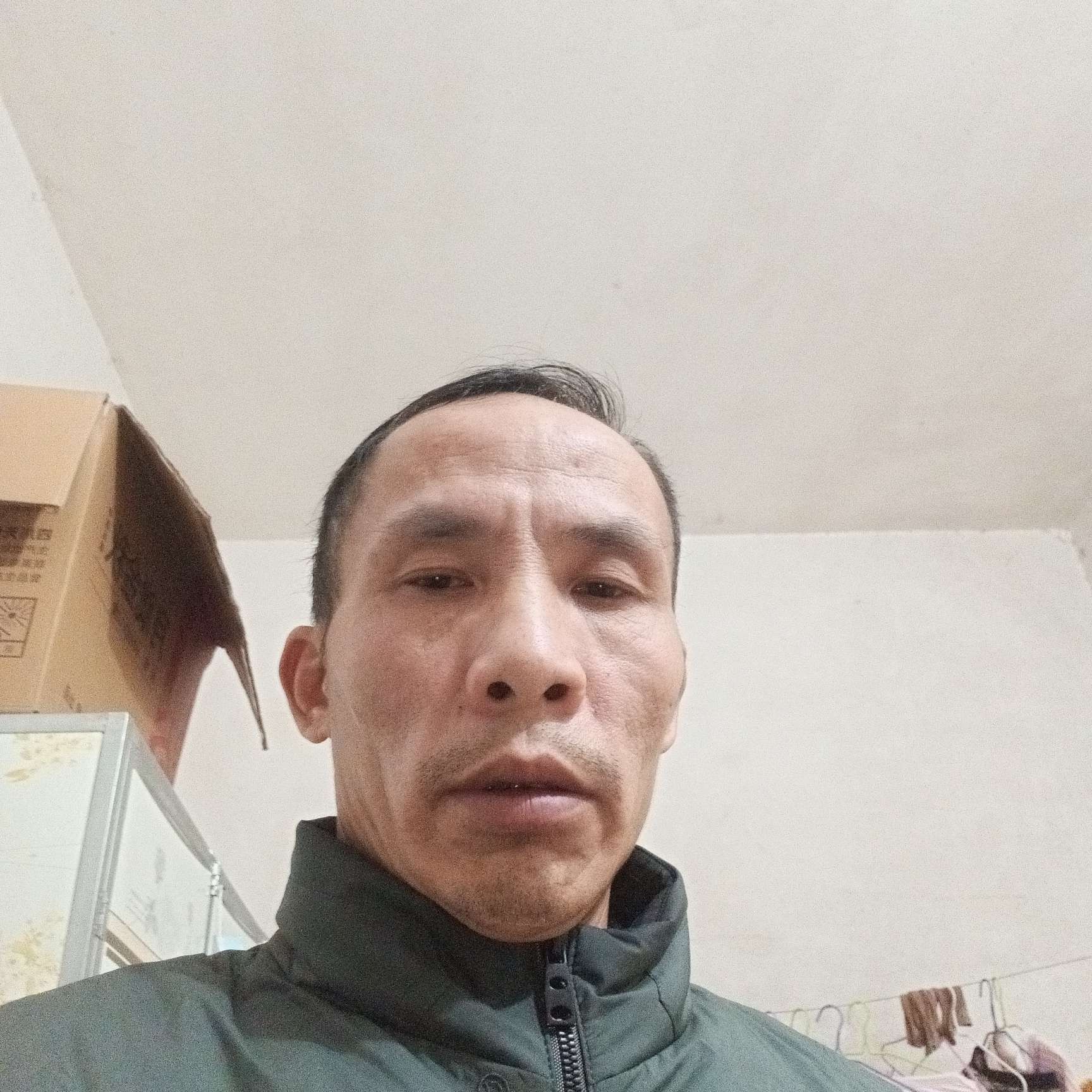 树叶改变绵密的照片