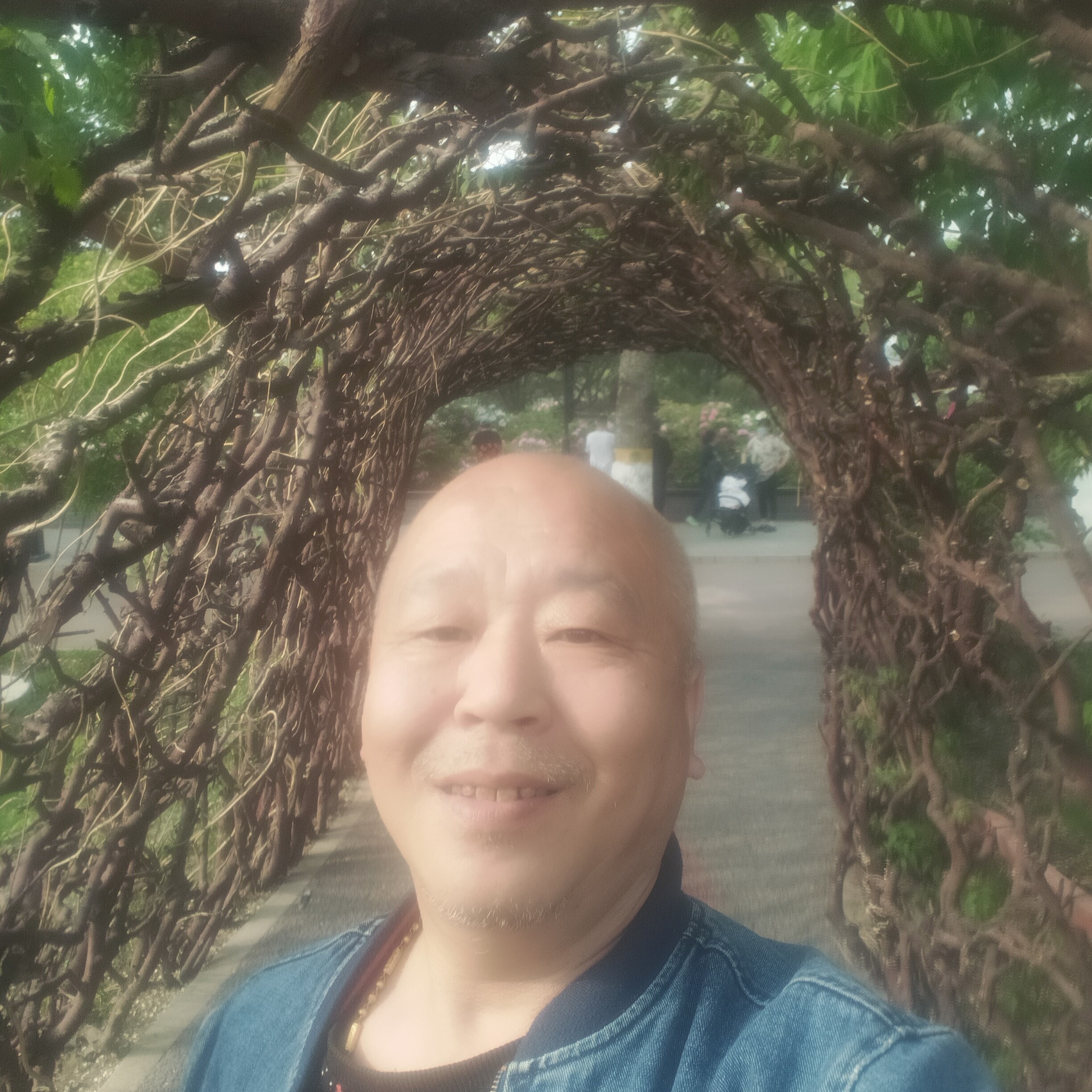 儒雅和青花的照片