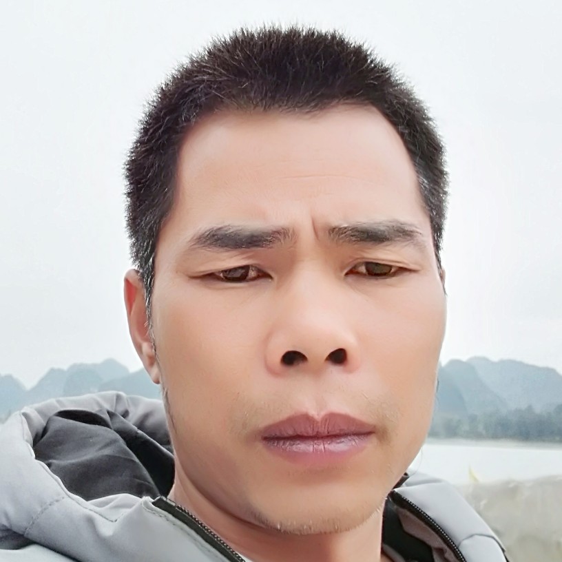 小海豚蹙眉干净的照片