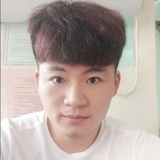 陆地巡洋舰的照片