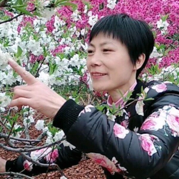学舞梅红的照片