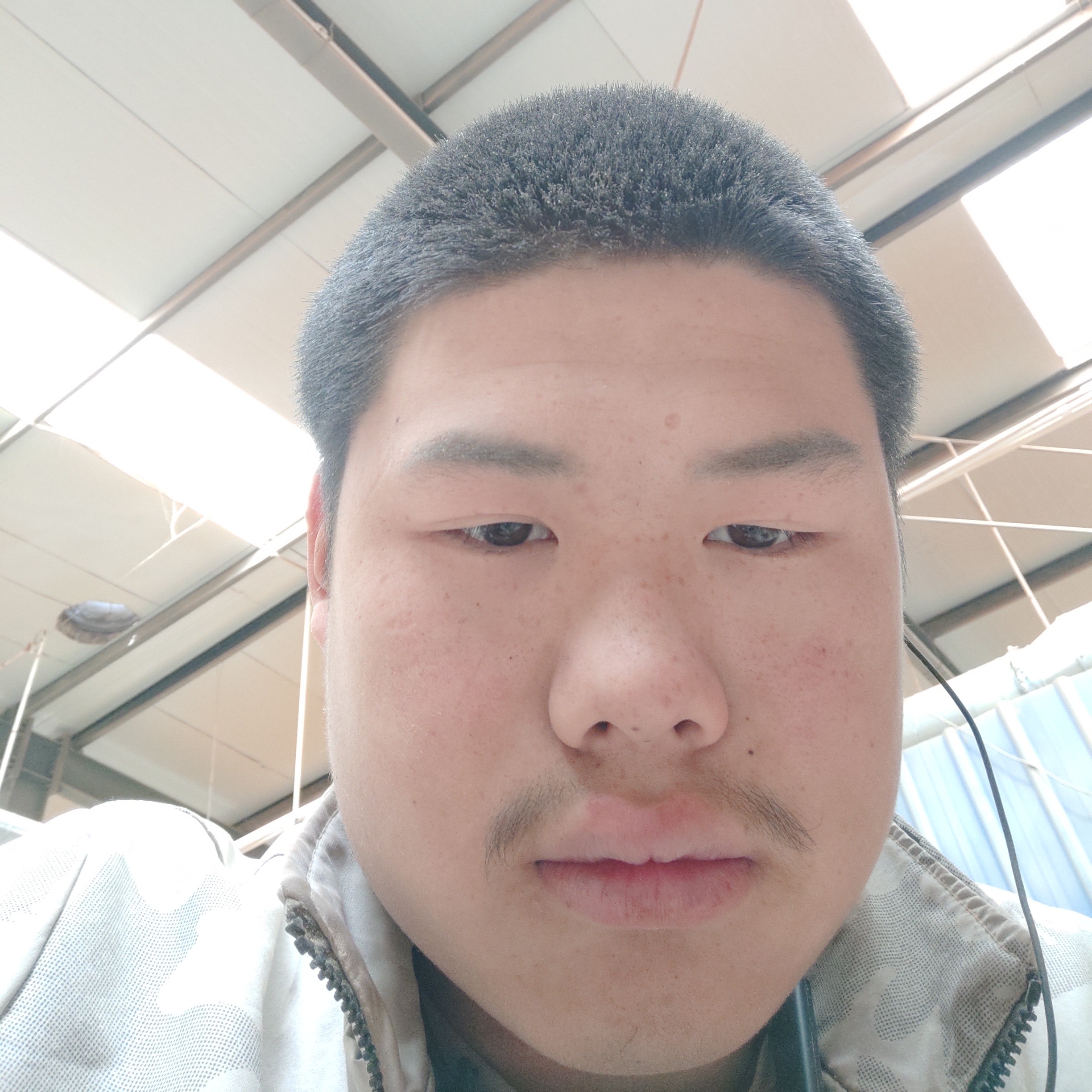 雪糕与单身的照片