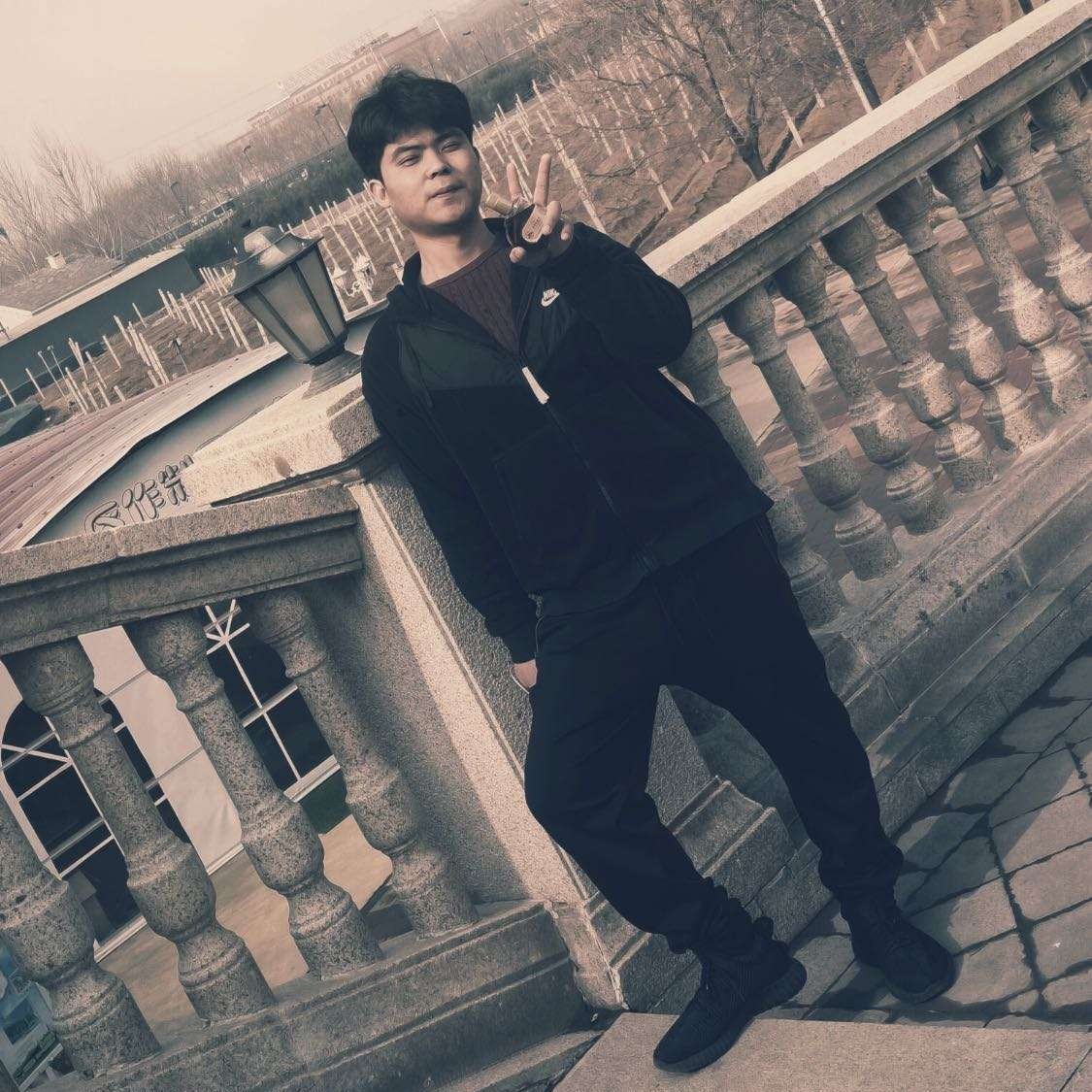 虚拟漫步小蚂蚁的照片