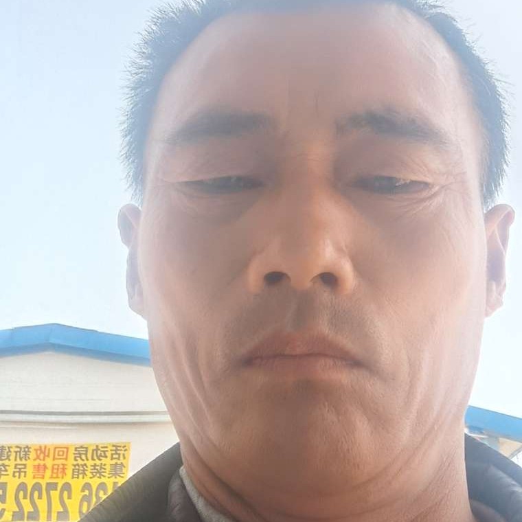 直率倾心春天的照片