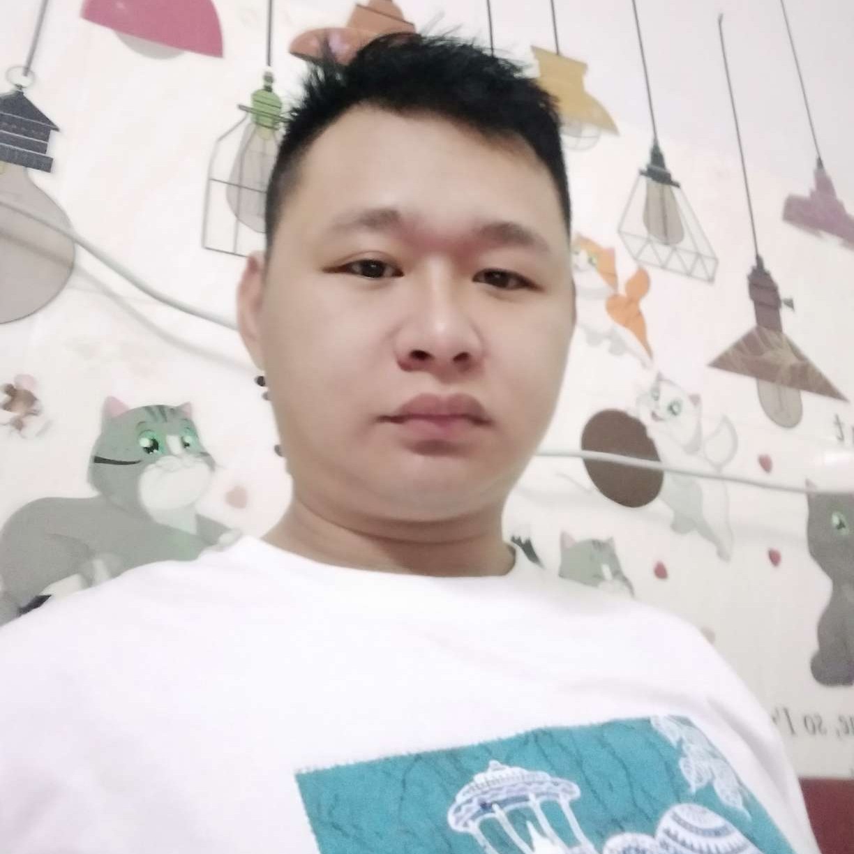 麦片那绚烂的照片