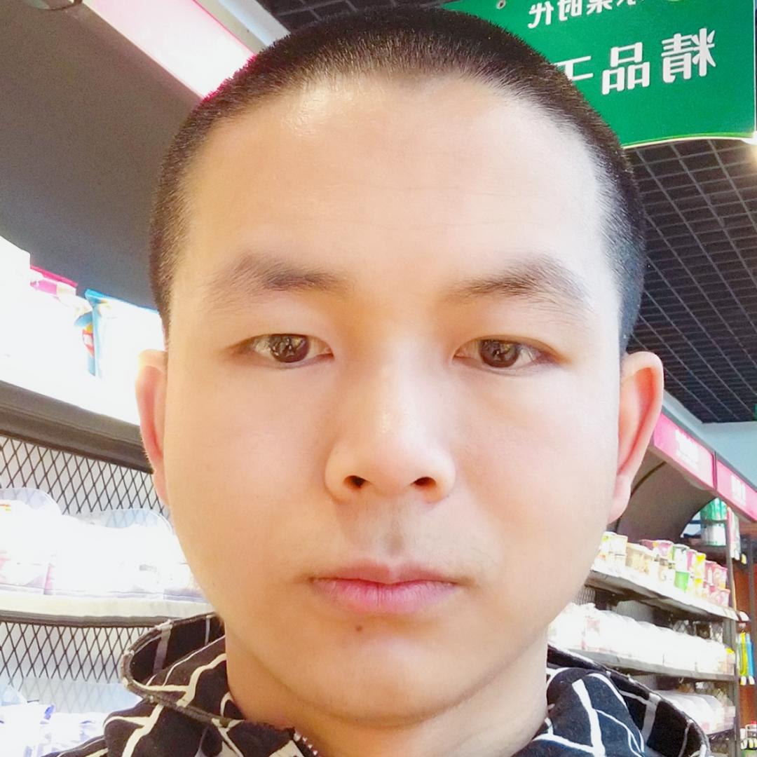 阳光下的蒲公英的照片