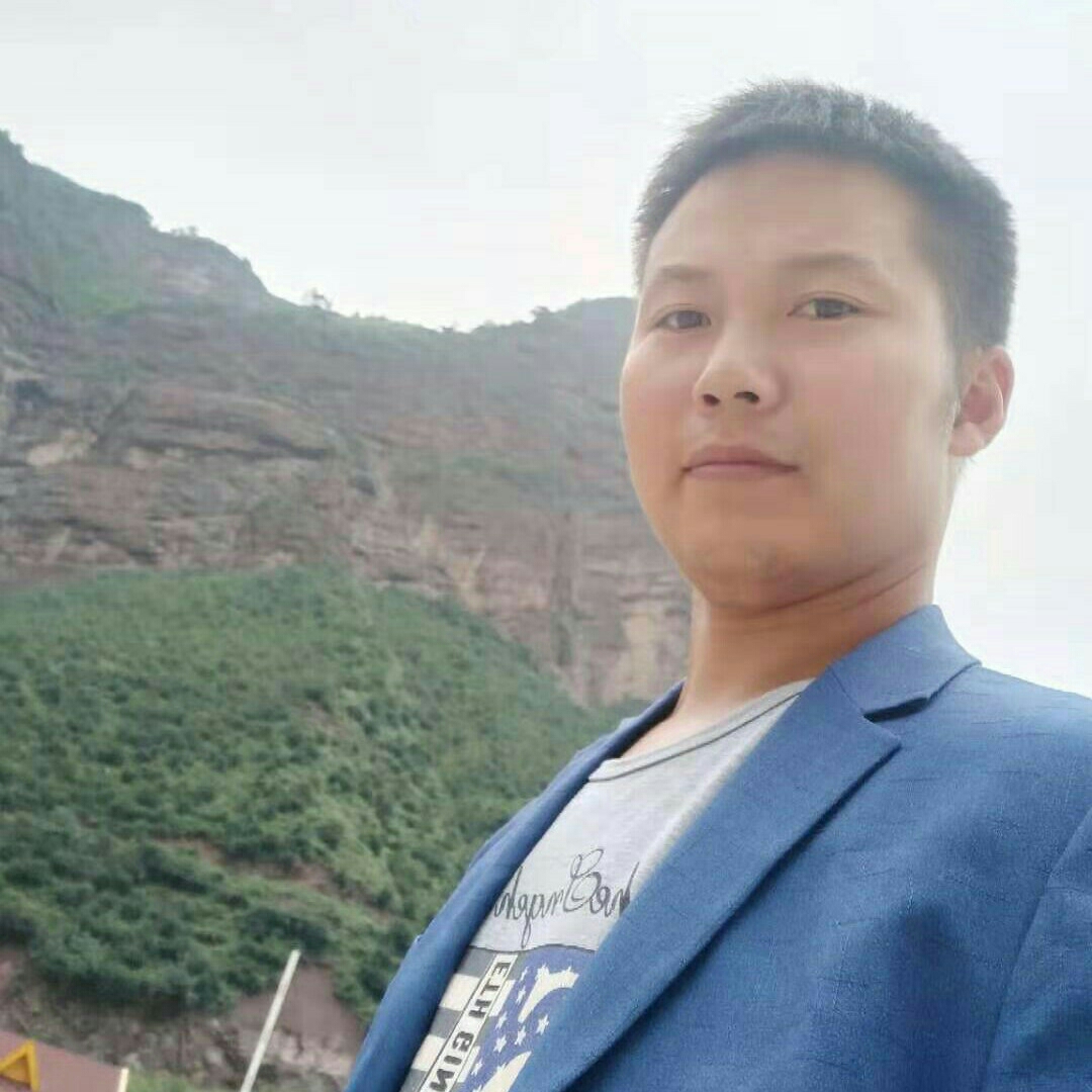 鸵鸟回眸碧蓝的照片