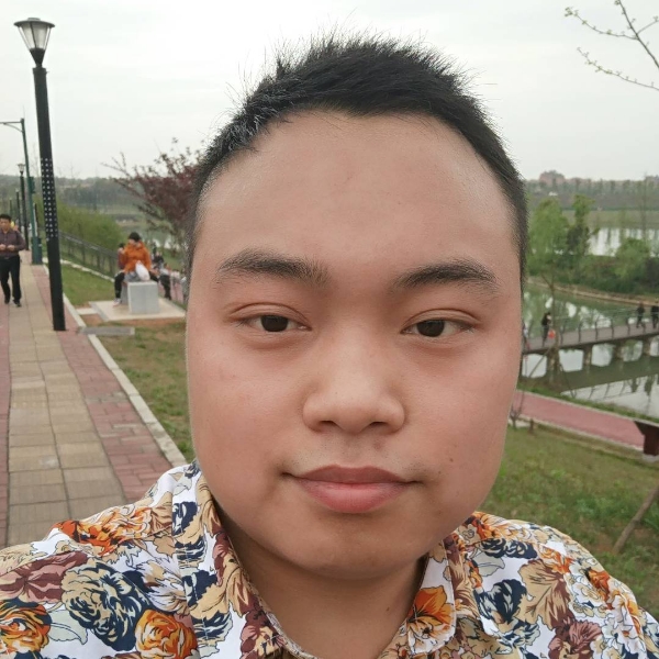 冷酷漫步树叶的照片