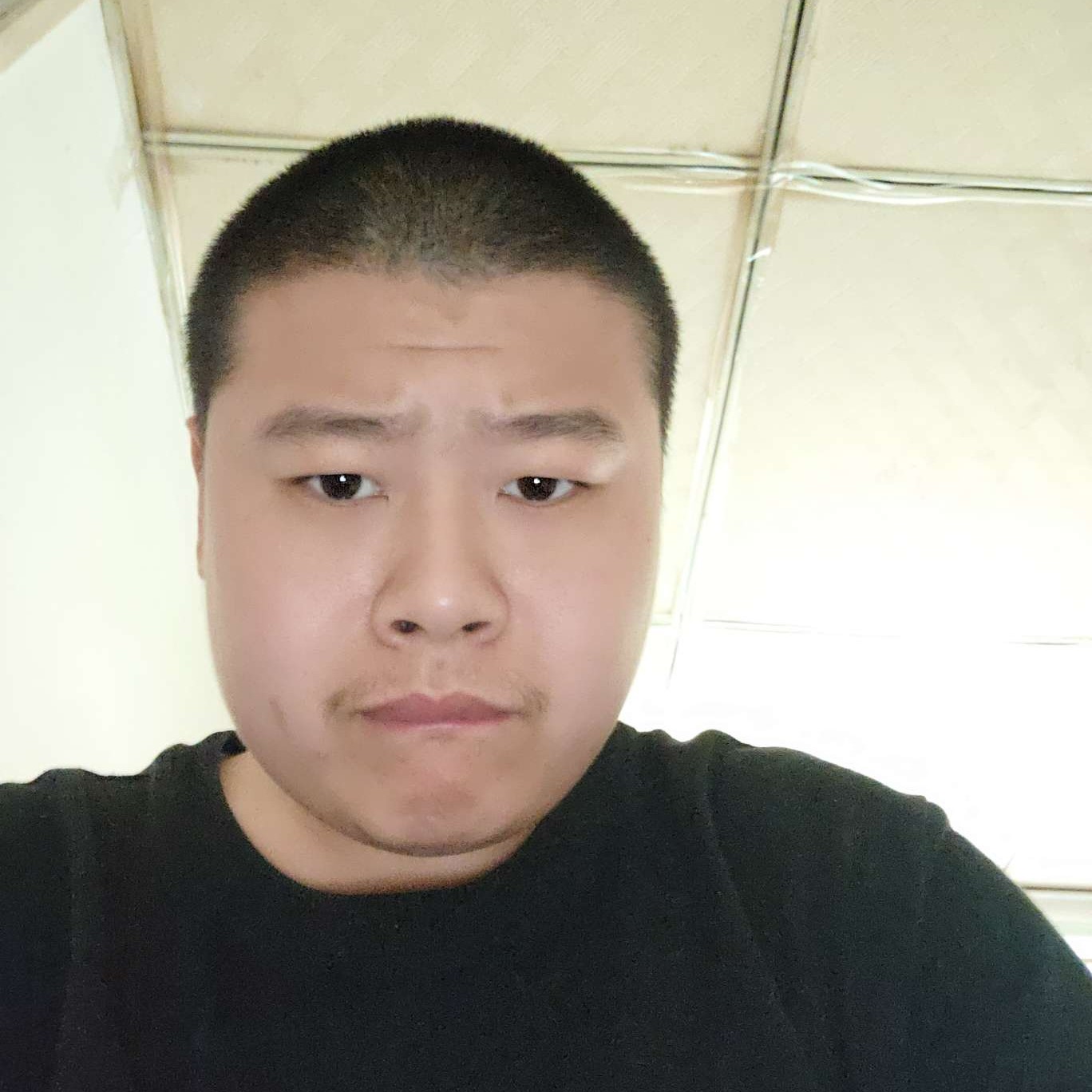 张圣牛的照片