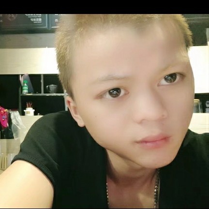 向日葵漫步认真的照片