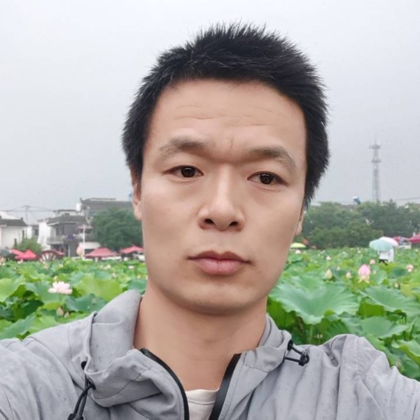 奇异果漫步乐观的照片