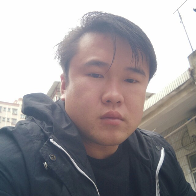 绵密蹁跹斑马的照片