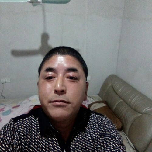 心碎无生的照片