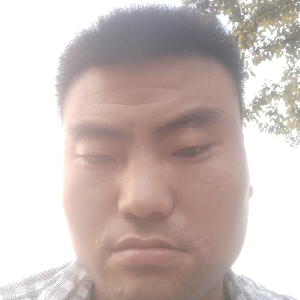 大炮我们的的照片