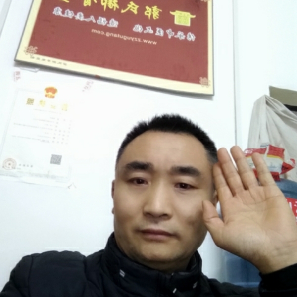 独行驹的照片