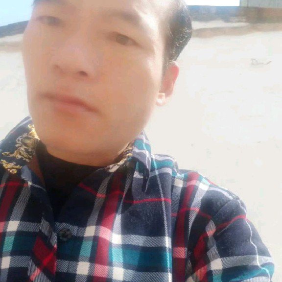 绵密蹁跹鲜花的照片