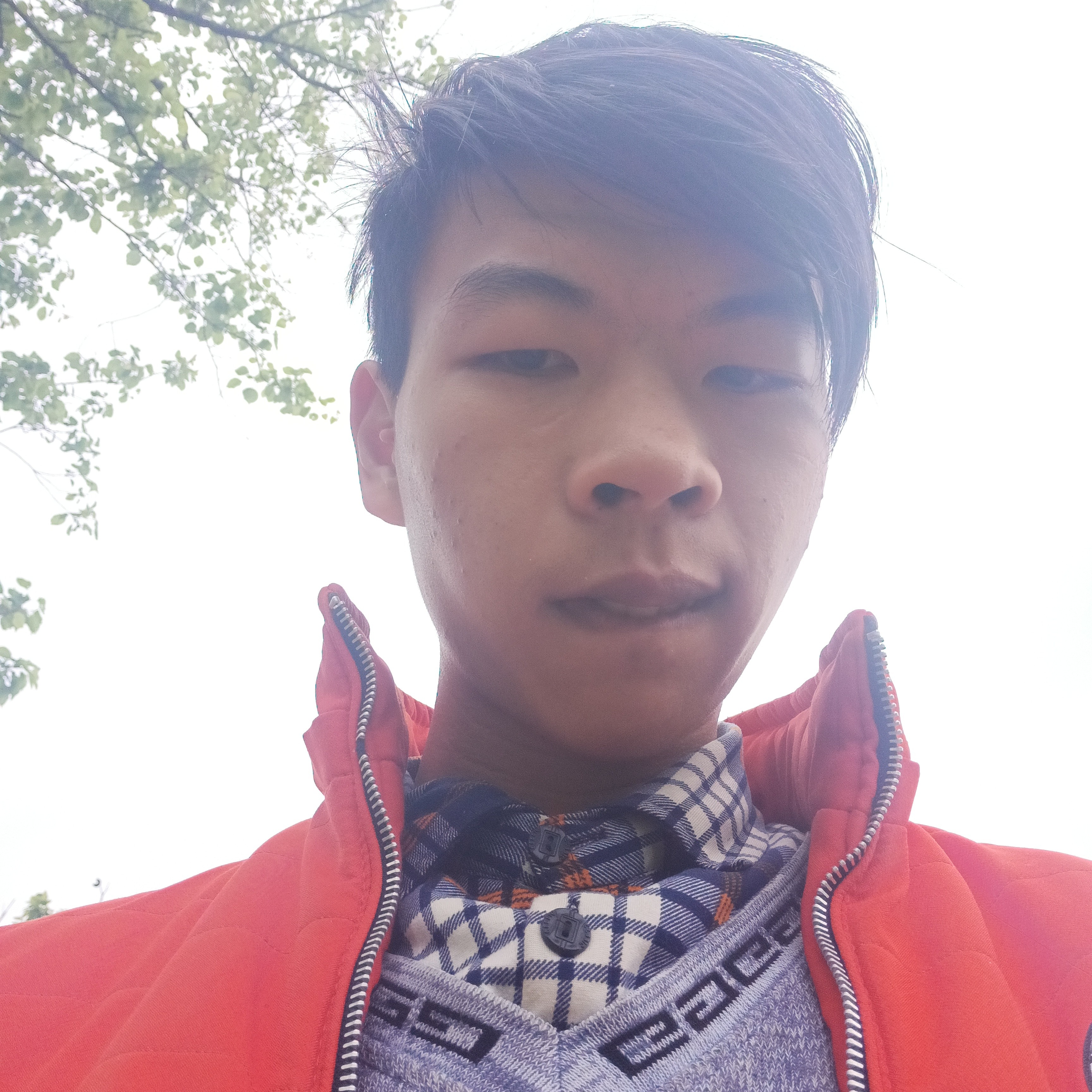 银耳汤回眸浮生的照片