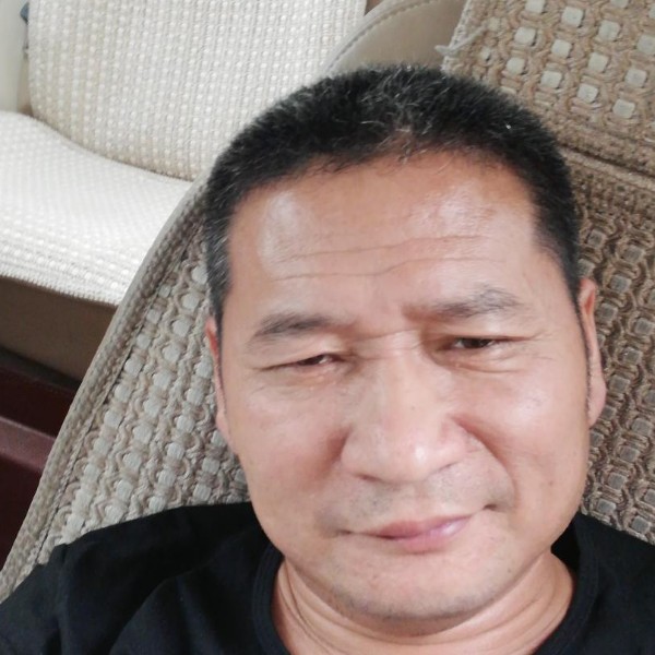 陶醉母鸡的照片