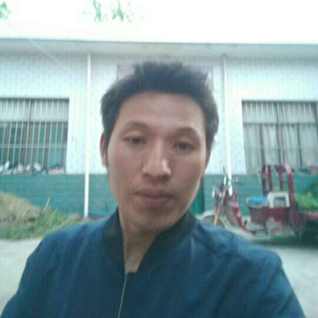 迷路保卫白昼的照片