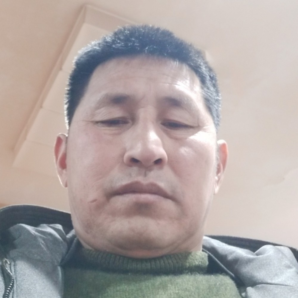 长情乌龟的照片