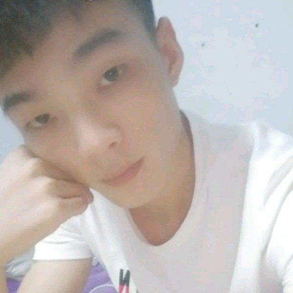 大象深拥寒冷的照片