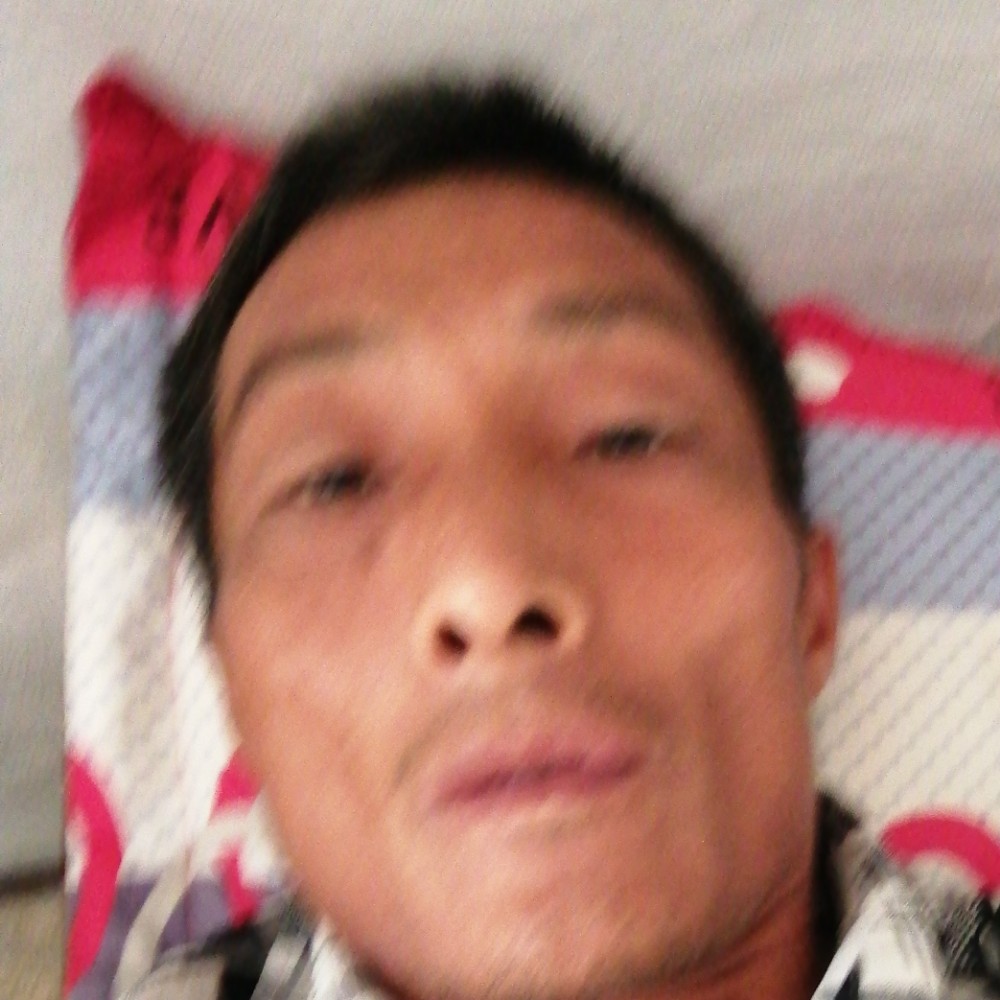 马路迖的照片