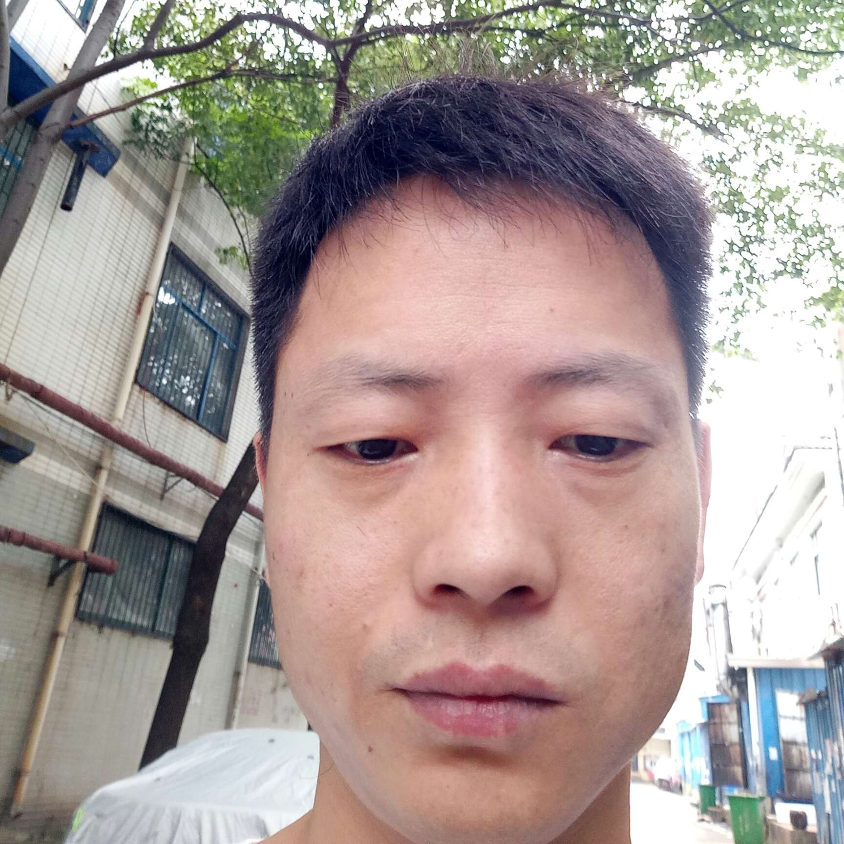痴情的柚子的照片