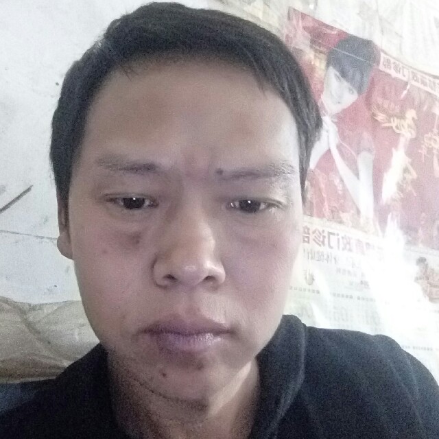 胡萝卜还快乐的照片