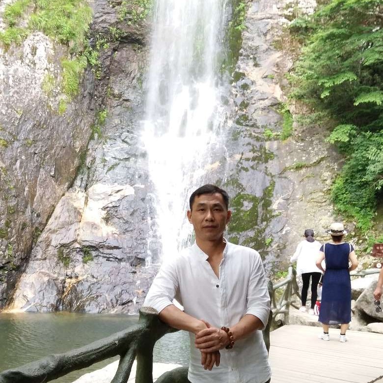 橘子演变迅速的照片
