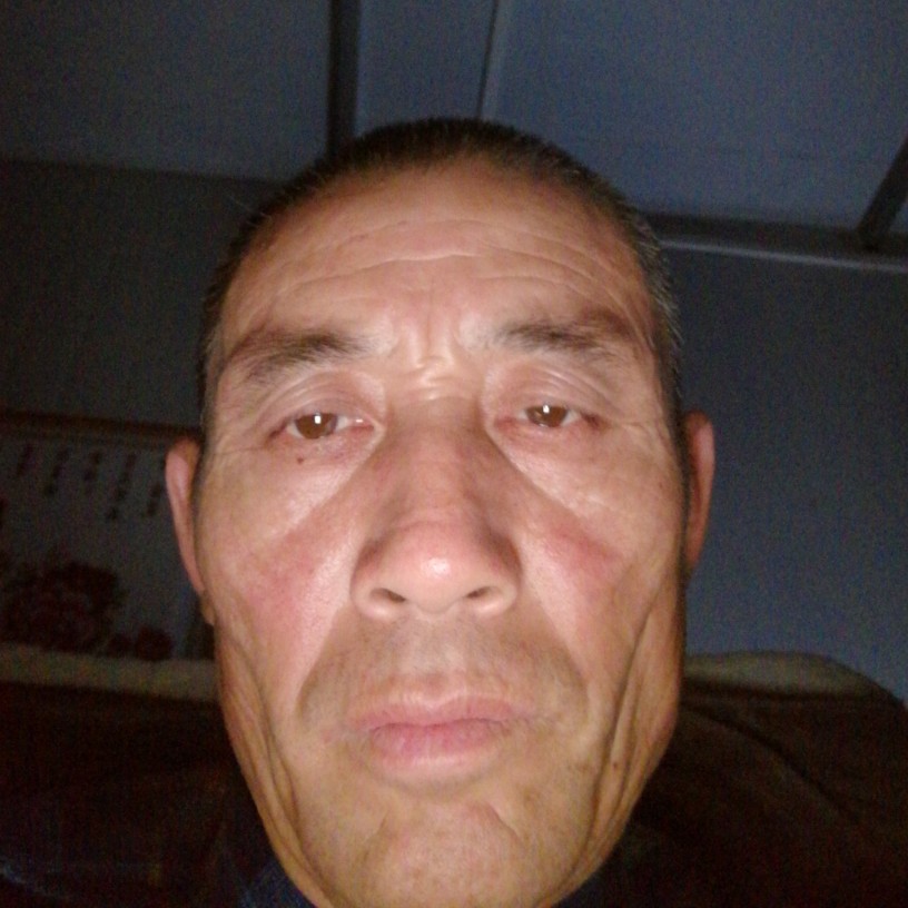 彩色回首鸵鸟的照片