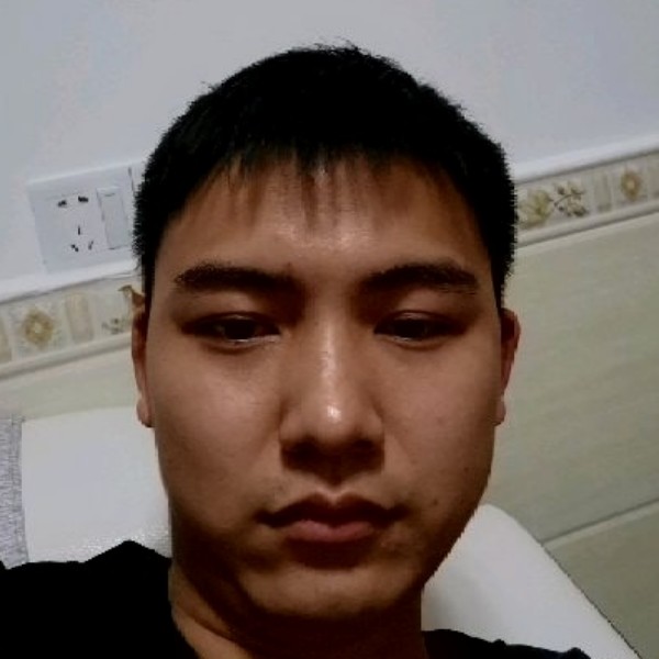 黑暗中的蝴蝶的照片