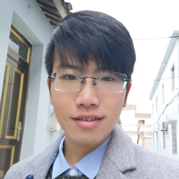 绘飞的猪的照片