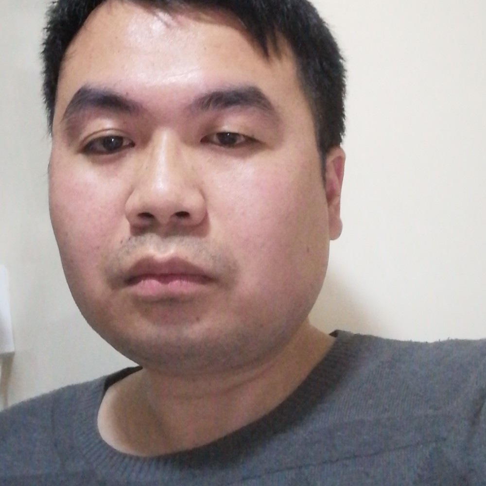 奔跑小猪的照片