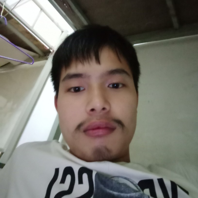 狼来了的照片