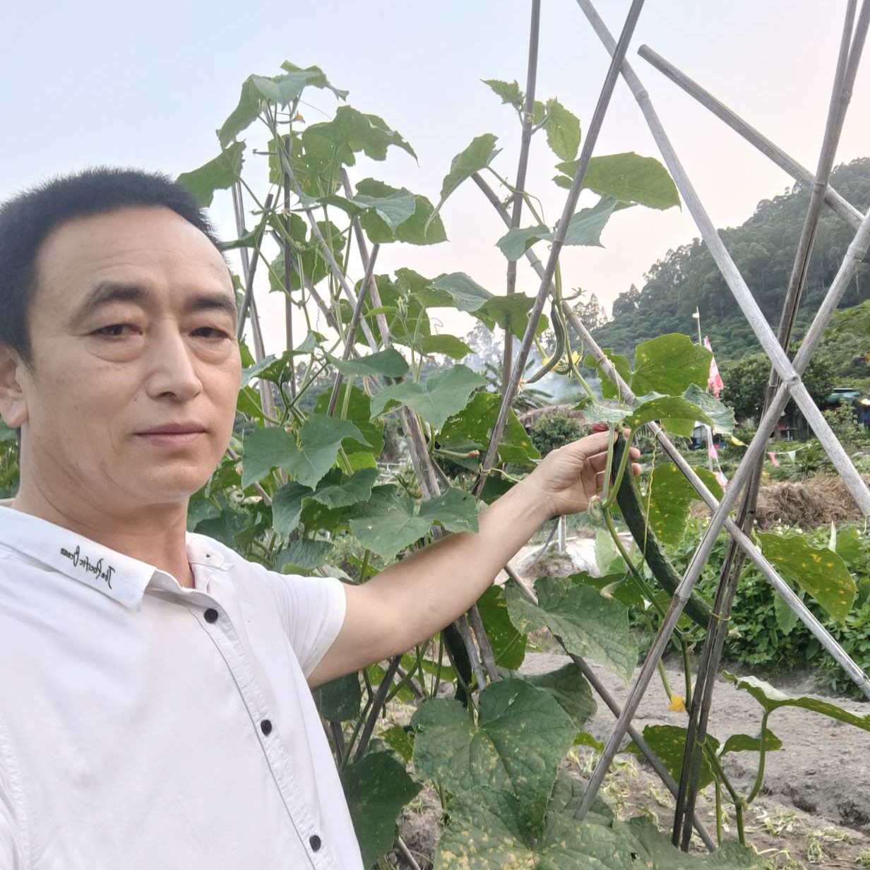 发卡爱阳光的照片