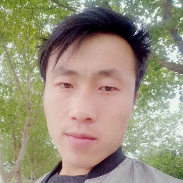 现实的大地的照片