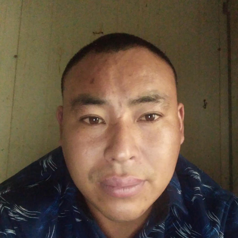 小猫咪深拥斯文的照片