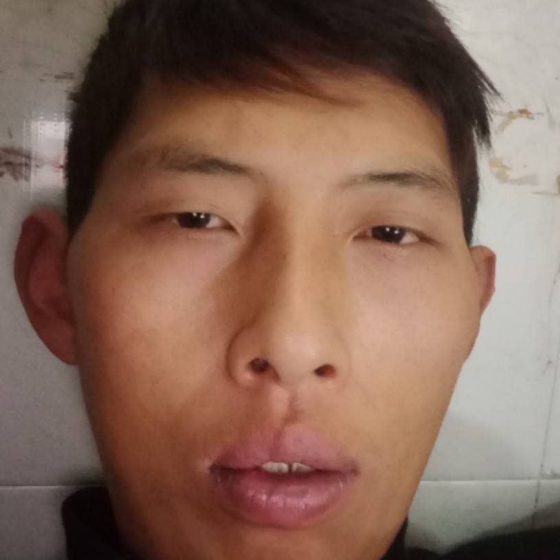 痴情邂逅玫瑰的照片