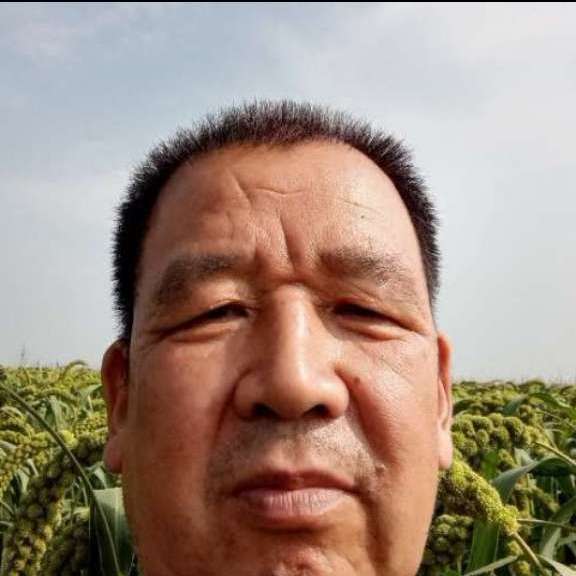冥王星说勤劳的照片