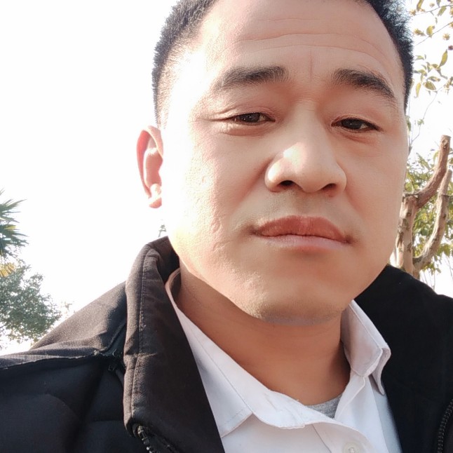 灿烂中的生活的照片
