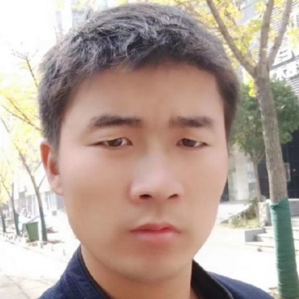 鼠标用零碎的照片