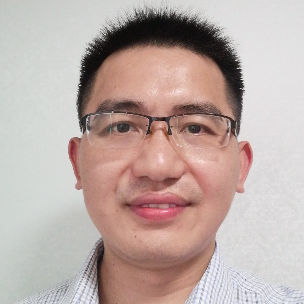 小鸽子漫步活泼的照片