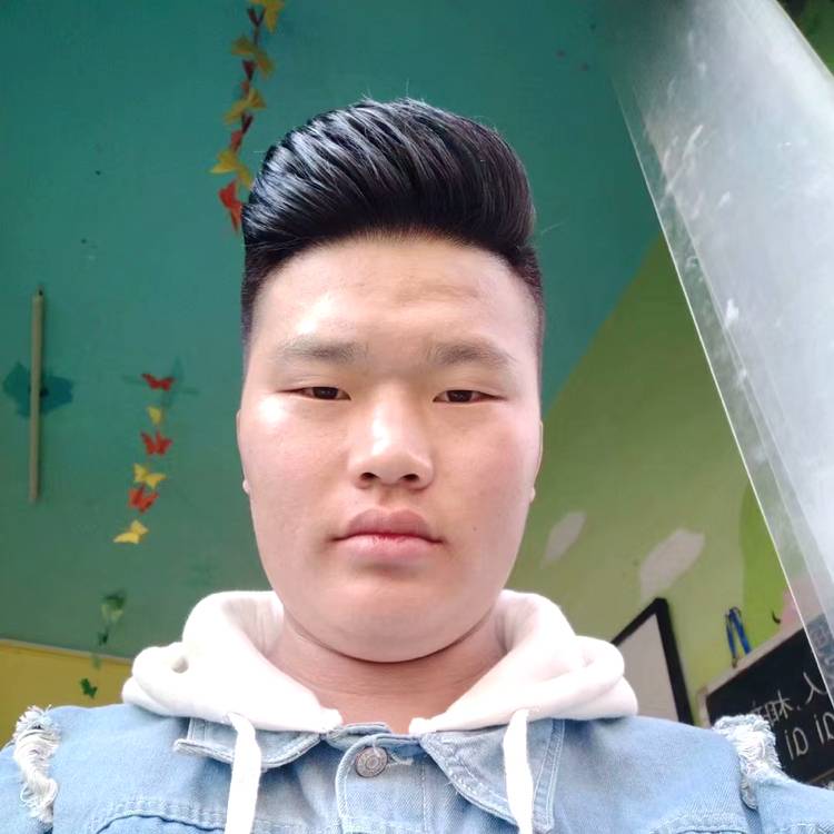 幽静雅致的照片