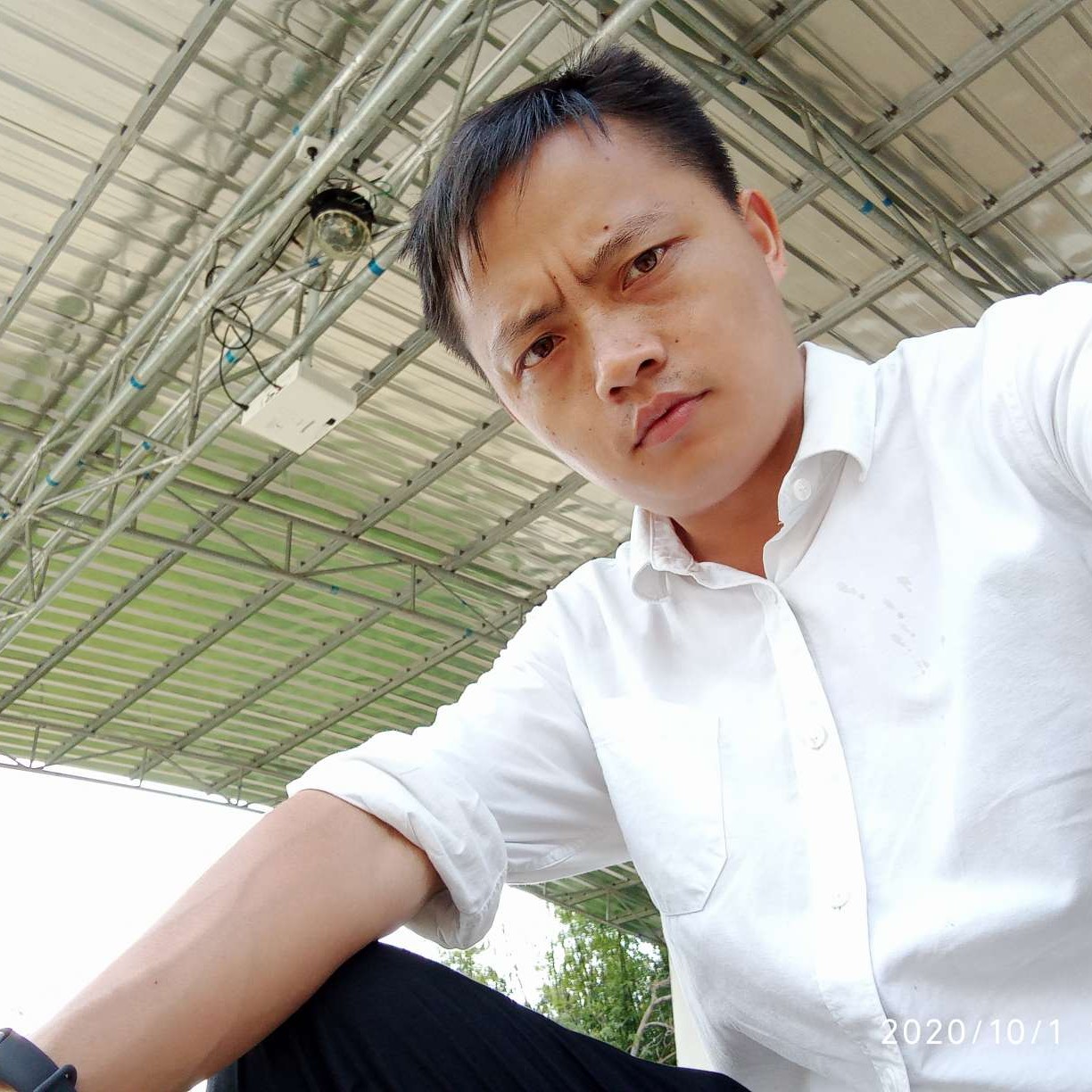 阿黄。的照片