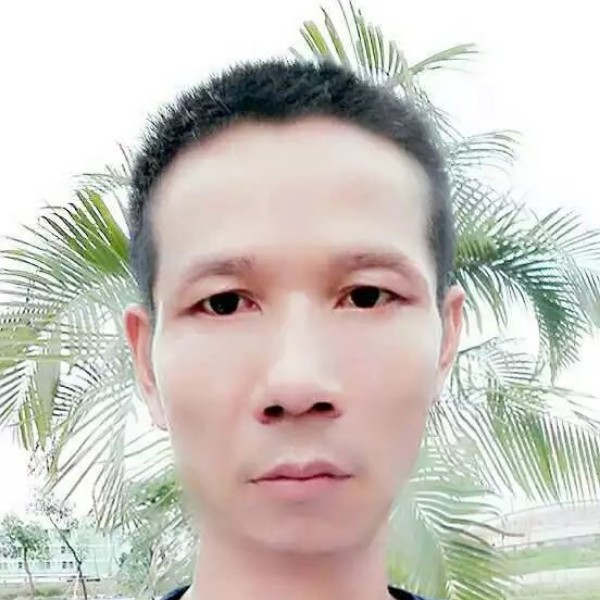 梦筑情缘的照片