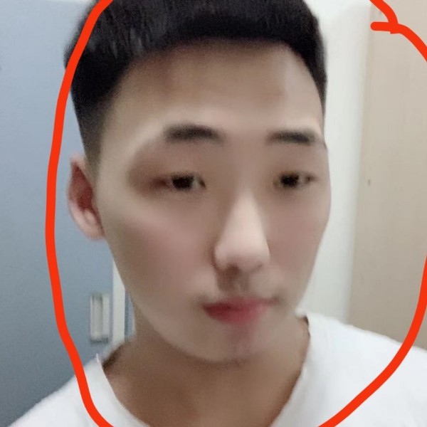 树叶纯真的照片