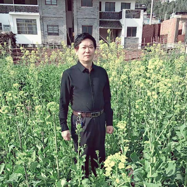 自行车黯然的照片